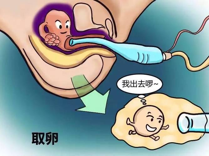 试管供卵试管代怀哪家好_试管供卵试管代怀哪家好,选择哪家更靠谱?