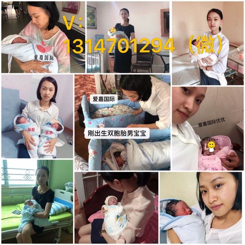 试管供卵试管代怀微信交流群(试管家庭微信交流群)