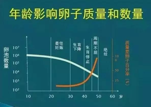 试管婴儿机率(试管婴儿成功率:关键因素解析)