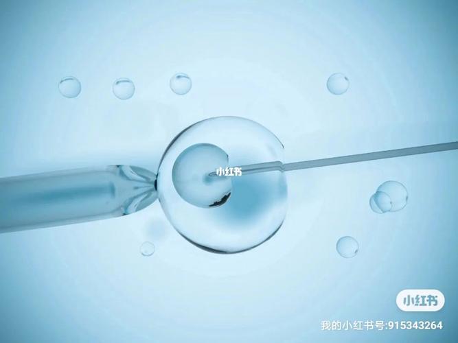 试管助孕-试管助孕:科技助力实现生育梦