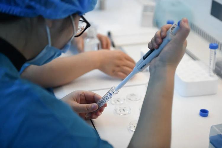 代生代怀公司哪家正规-如何选择代生代怀公司哪家正规？